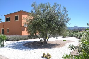 A building with a tiled roof, surrounded by a gravel garden with a tree and cacti.