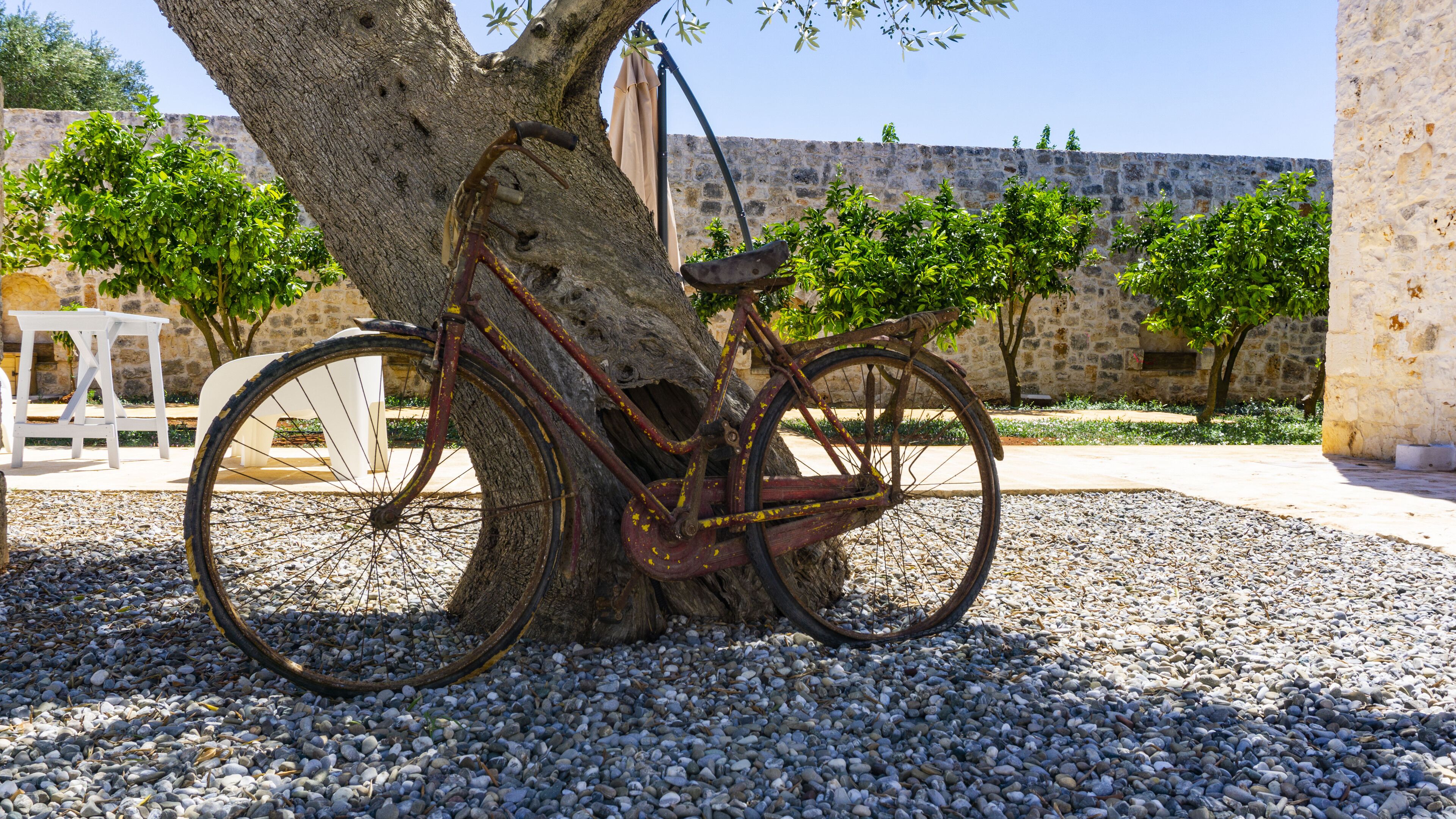 Un vélo appuyé contre un arbre dans une cour bordée de murs en pierre, avec de la verdure en arrière-plan.