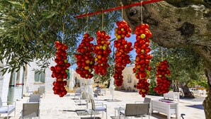 Mobiliario exterior con sillas y mesas blancas, suelo de piedra y un árbol con tomates rojos y amarillos colgantes.