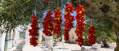 Outdoor seating with white chairs and tables, a stone floor, and a tree with hanging red and yellow tomatoes.