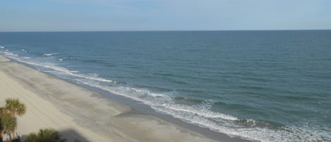 Condo, 1 Bedroom | Beach | On the beach