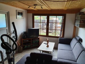 Fernseher