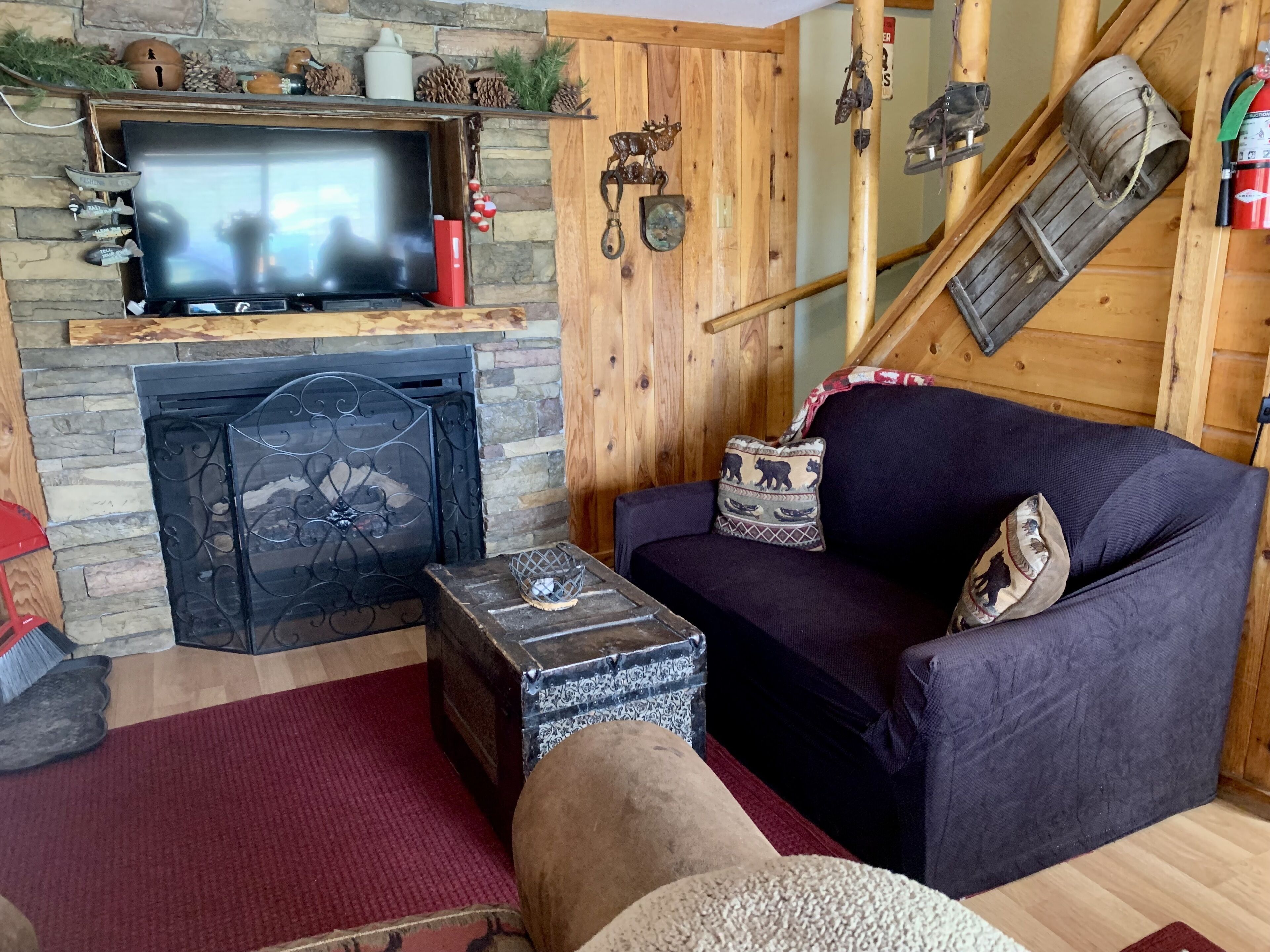 Smart TV, chimenea, reproductor de DVD y libros 