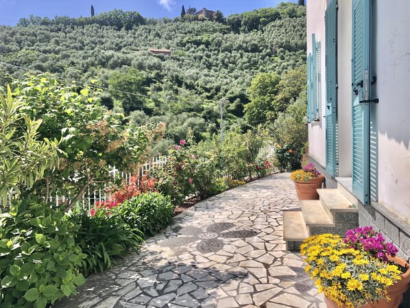 A stone pathway leading to a building with blue shutters, surrounded by lush greenery and flowering plants.