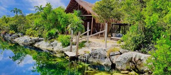 Luxury Private Villa with amazing snorkel and Exclusive Jungle Gym