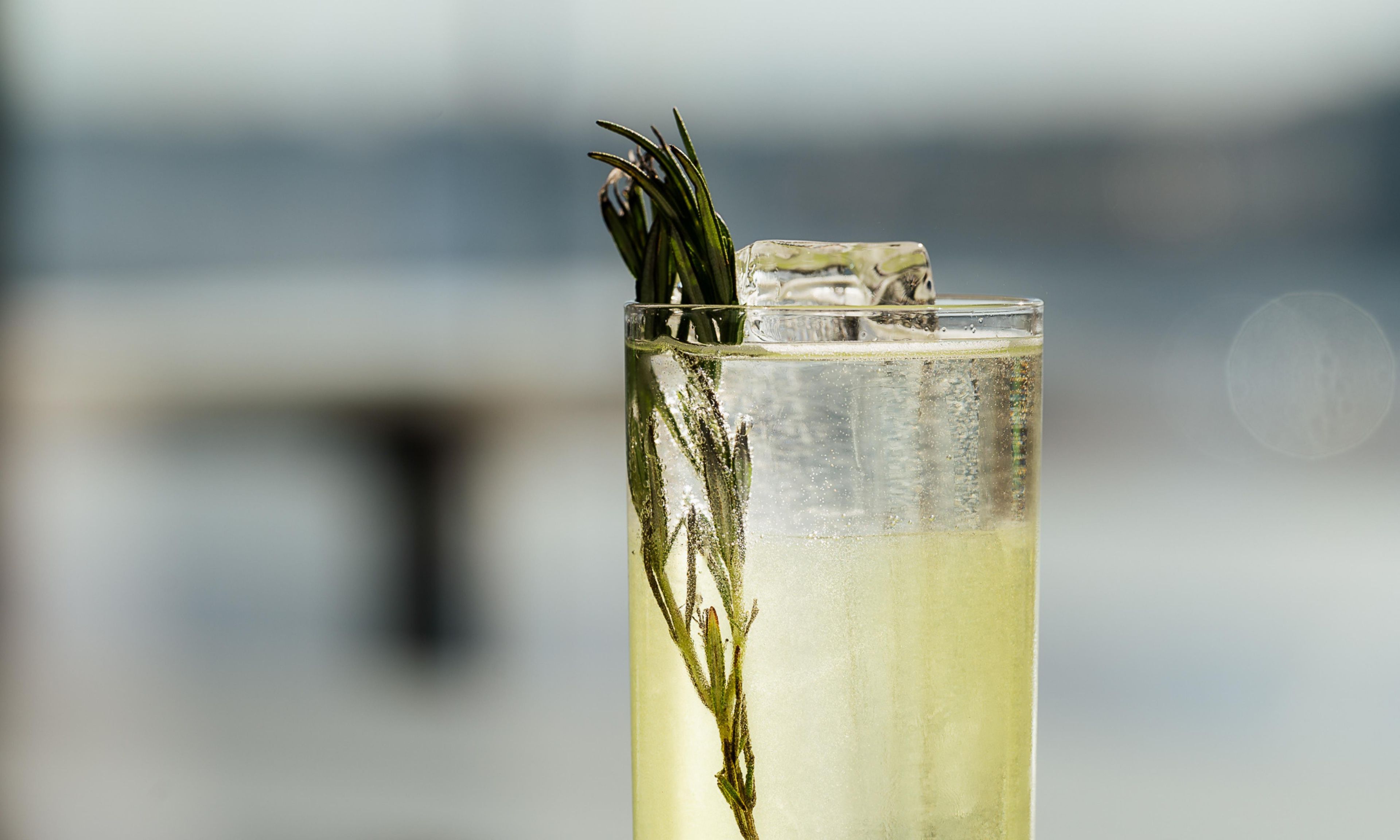 Un grand verre contenant une boisson claire, probablement une boisson rafraîchissante, agrémentée d’herbes vertes et de glaçons.