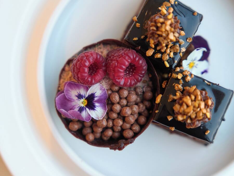A dessert with chocolate, raspberries, and a flower on a white plate.