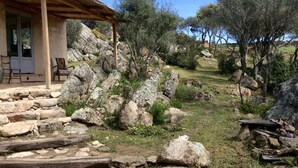 A rustic stone pathway leading to a wooden cabin with a thatched roof.