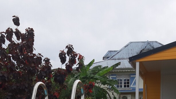 Outdoor pool - Equipped bungalow for 4 people special promo rate for landscaping in progress (Baie Mahault)