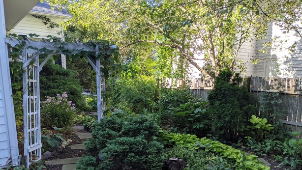A garden with a wooden pergola, various shrubs, and a stone pathway. - Luckystone Inn (Saugatuck)