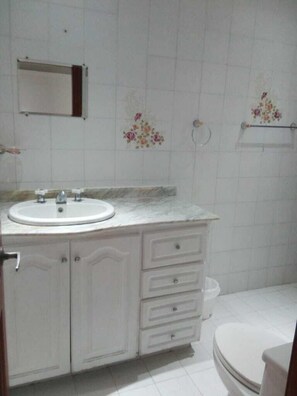 Ducha, toallas, jabón, papel higiénico