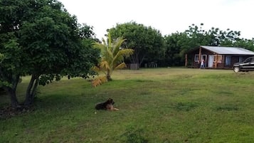 Áreas de la propiedad