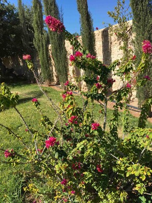 Jardines del alojamiento