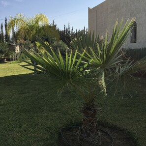 Property grounds - Bouzama room breakfast included, pool view (Essaouira)
