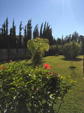 Property grounds - Bouzama room breakfast included, pool view (Essaouira)