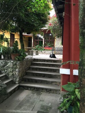 Terraza o patio