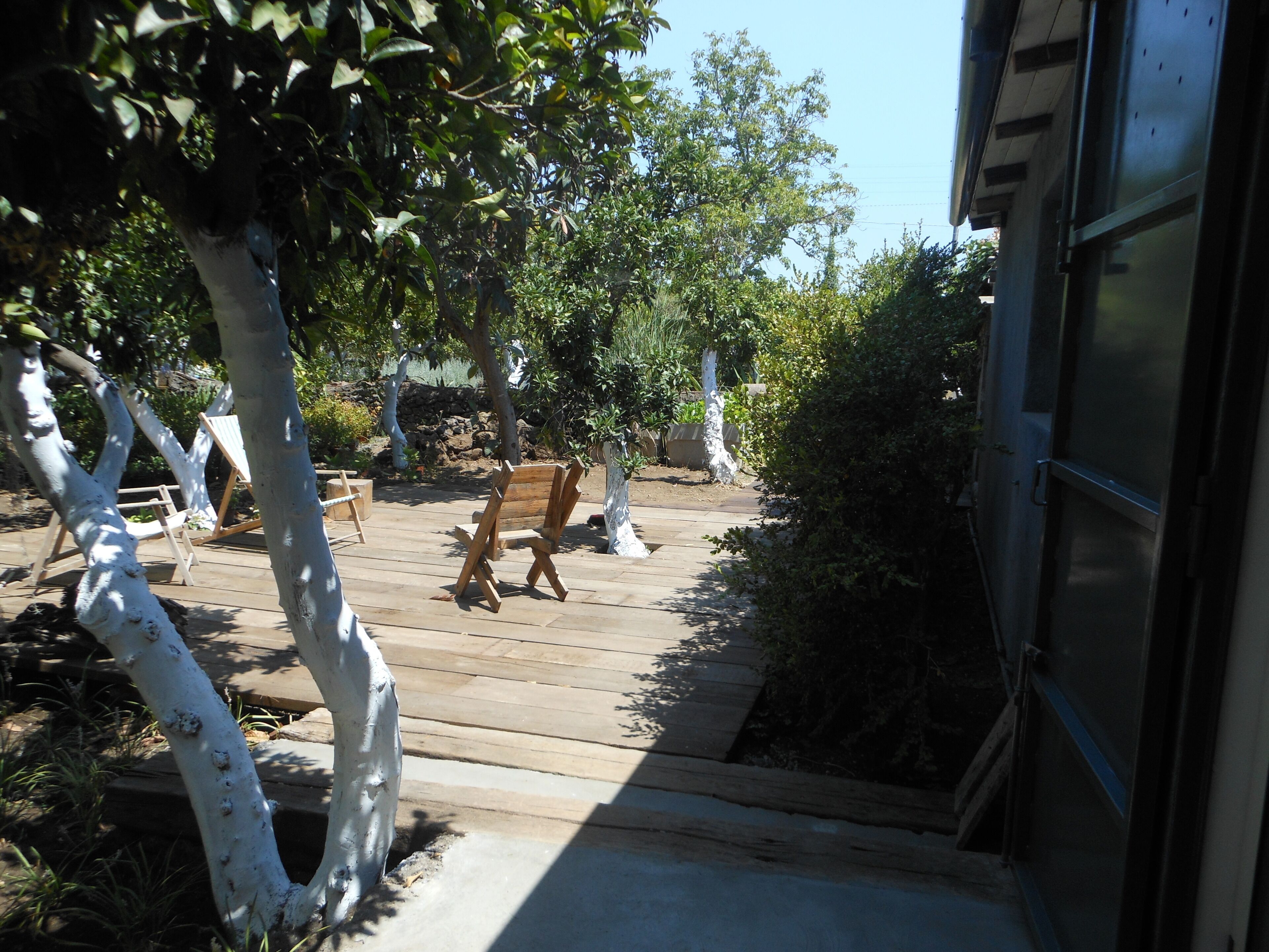 Una terraza de madera con un banco y una silla, rodeada de árboles y arbustos.