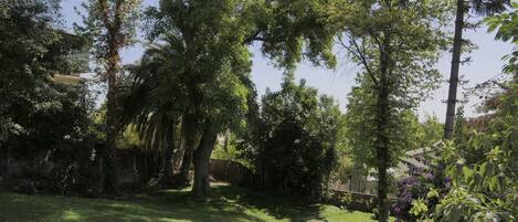 Área da propriedade