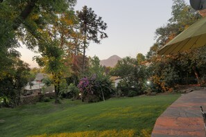 Property grounds - The Quiet Garden - Luxury Guest Studio in Las Condes w/High Speed WiFi (Las Condes)