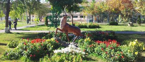 Enceinte de l’hébergement