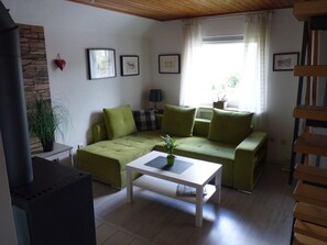 Télévision, cheminée, livres, chaîne hi-fi