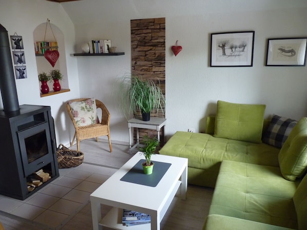 TV, caminetto, libri, impianto stereo