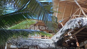 Front of property - Hostal Rutamar - Hostel (Canoa)