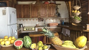 Fridge, microwave, stovetop, cookware/dishes/utensils - Hostal Rutamar - Hostel (Canoa)