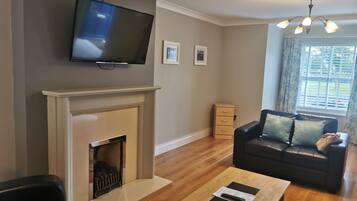TV, fireplace