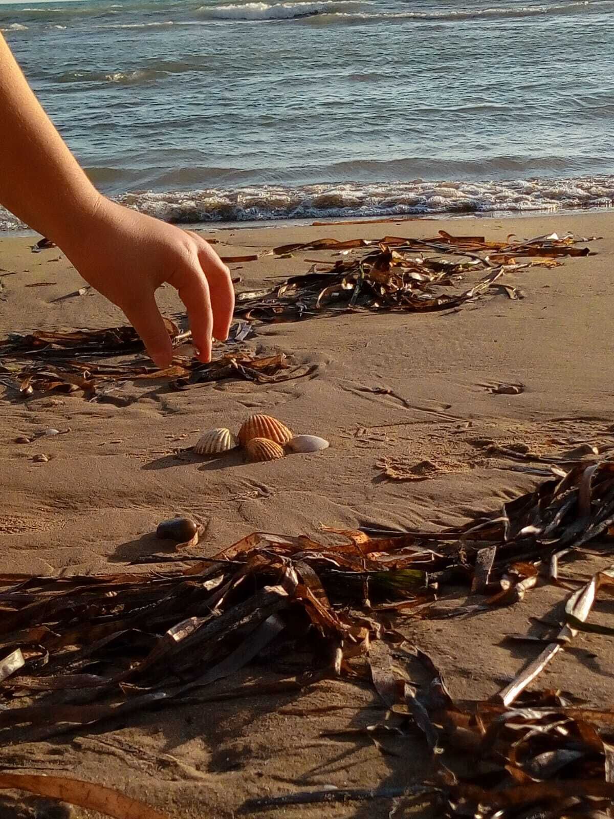 Plage, chaises longues