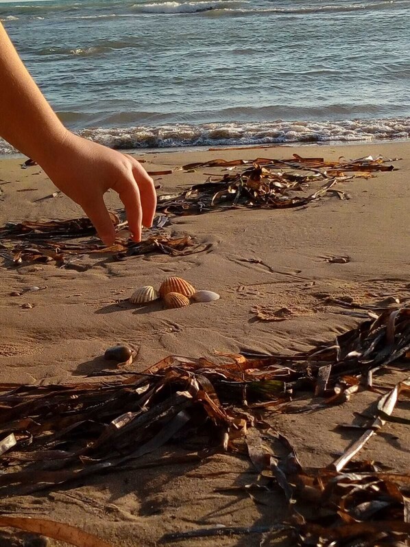 Ubicación a pie de playa y tumbonas