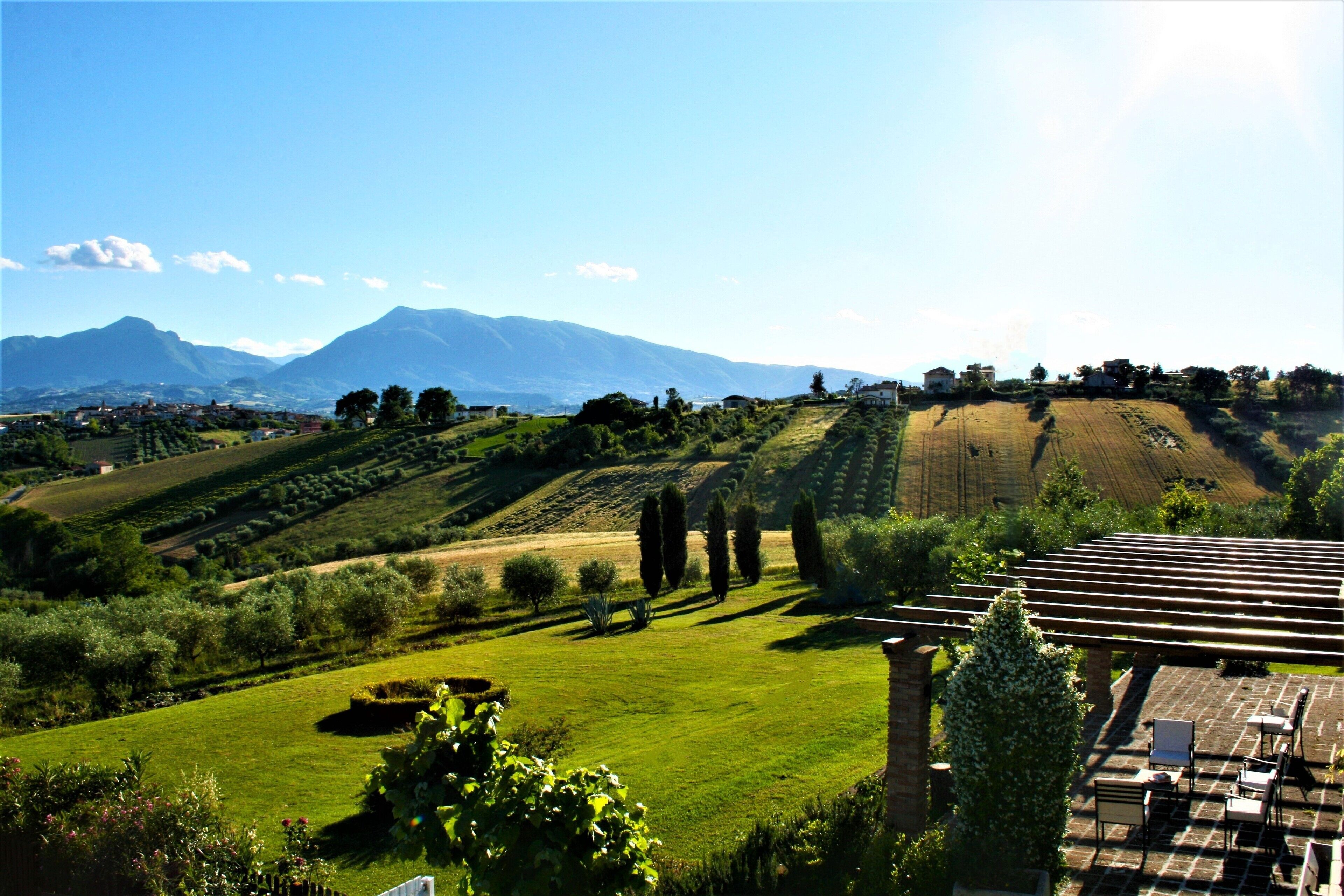 Eine Weinlandschaft mit einer Pergola und einer Sitzgelegenheit im Freien.
