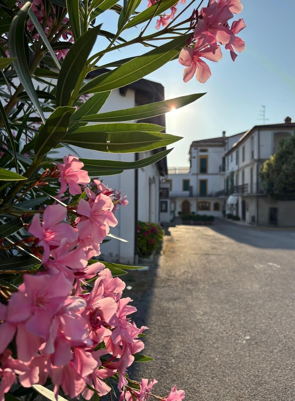 Cortile