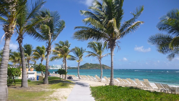 A beach path lined with palm trees leading to beach chairs and a building with a white facade. - Spacious 1800 Sq Ft Ocean View Condo (Oyster Pond)