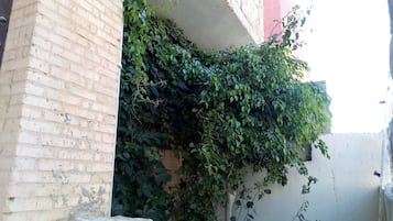 DĂ©tail de lâextĂ©rieur