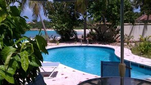 Une piscine à bord incurvé, entourée d’une végétation tropicale et offrant une vue sur la plage.
