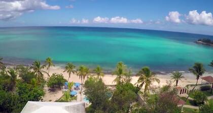 Hiver en bord de mer 465 $ / nuit