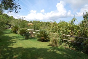 Property grounds - Kaunis Talo 'IL Cassero' (Capoliveri)