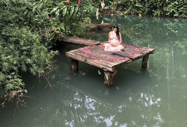 A wooden dock extending into a calm body of water, surrounded by dense greenery.