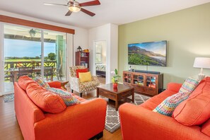 Smart TV, DVD player, books, video library