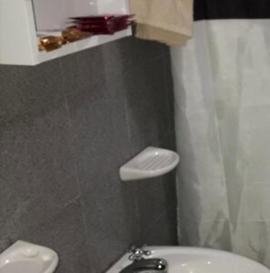 淋浴設備、毛巾、肥皂、衛生紙