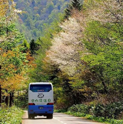 ストリート ビュー