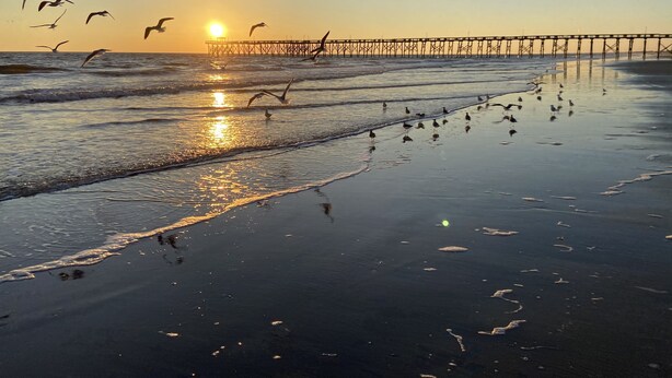 A beach scene with a pier extending into the water, birds flying and landing on the shore, and the sun setting in the background. - Spacious clean condo,  large pool, plus many extras.   Perfect for families. (Oak Island)