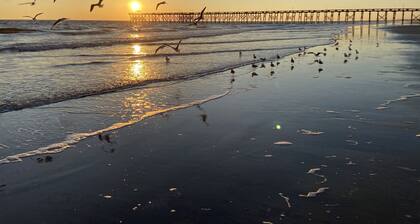 Spacious clean condo, large pool, plus many extras. Perfect for families.