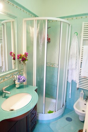Hair dryer, towels, soap, shampoo