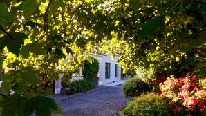 A house with a driveway leading to a white building, surrounded by lush greenery and flowering plants. - Exclusive Garden Apartment (Galway)