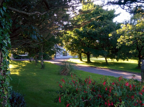 A residential area with a well-maintained lawn, trees, and a pathway leading to a house. - Exclusive Garden Apartment (Galway)