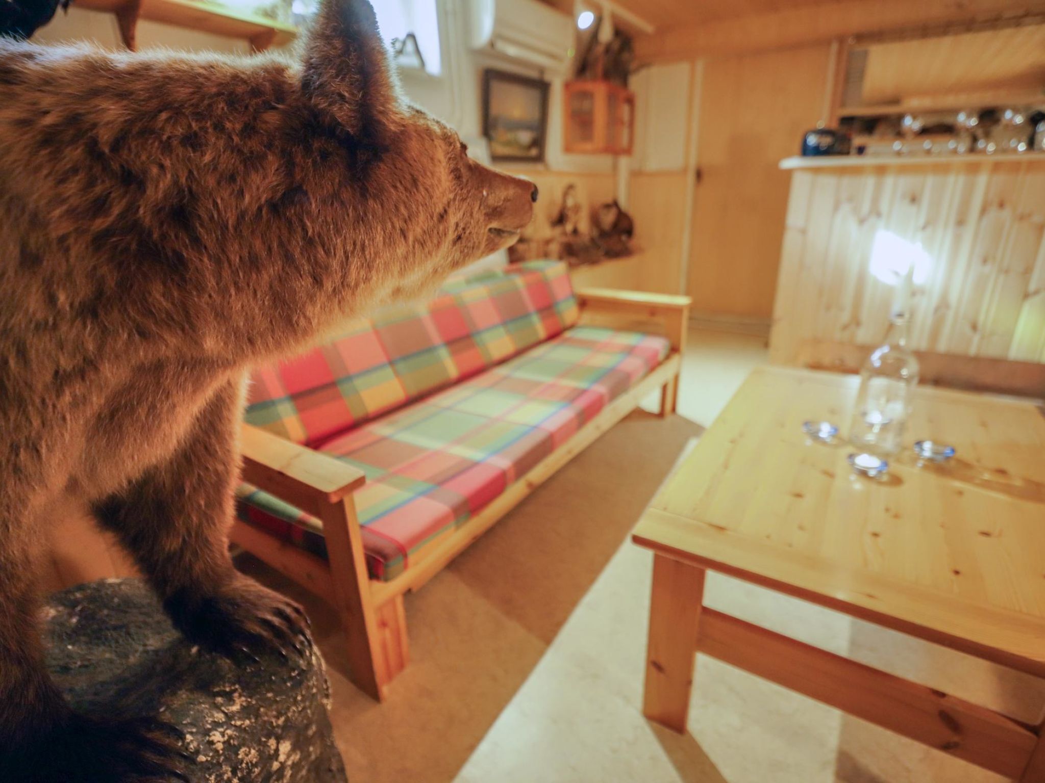 Una televisión, un reproductor de DVD