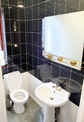 Habitación Deluxe con 1 cama matrimonial o 2 individuales, baño compartido, vista al jardín | Baño