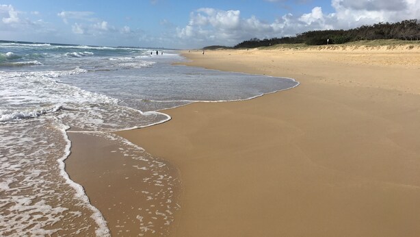 Une plage avec des vagues, un ciel dégagé et une ligne d’arbres à l’horizon.